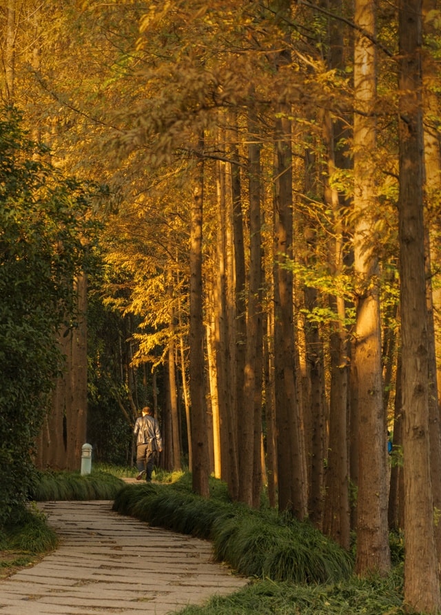 autumn-color 图片素材