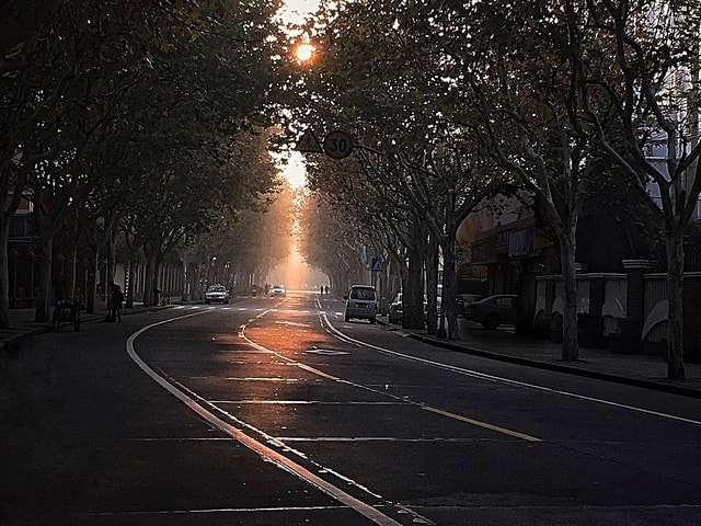 road-street-lane-light-tree 图片素材