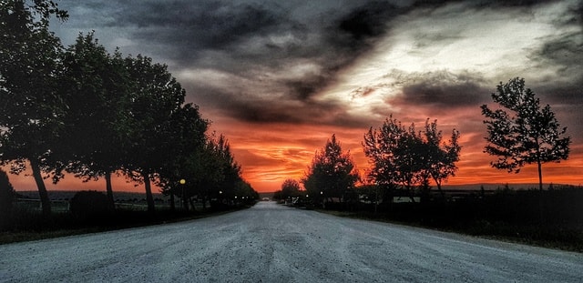 sky-tree-road-nature-cloud picture material