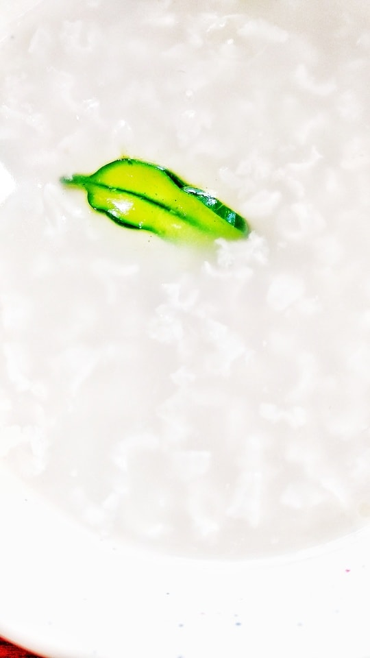 no-person-green-food-health-nature picture material