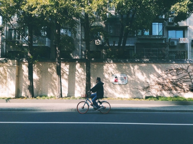 road-vehicle-tree-street-street-beat picture material