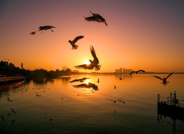 the-scenery-is-good-here 图片素材