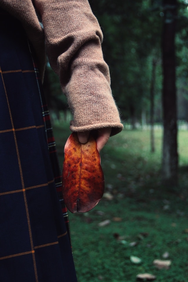 autumn-color 图片素材