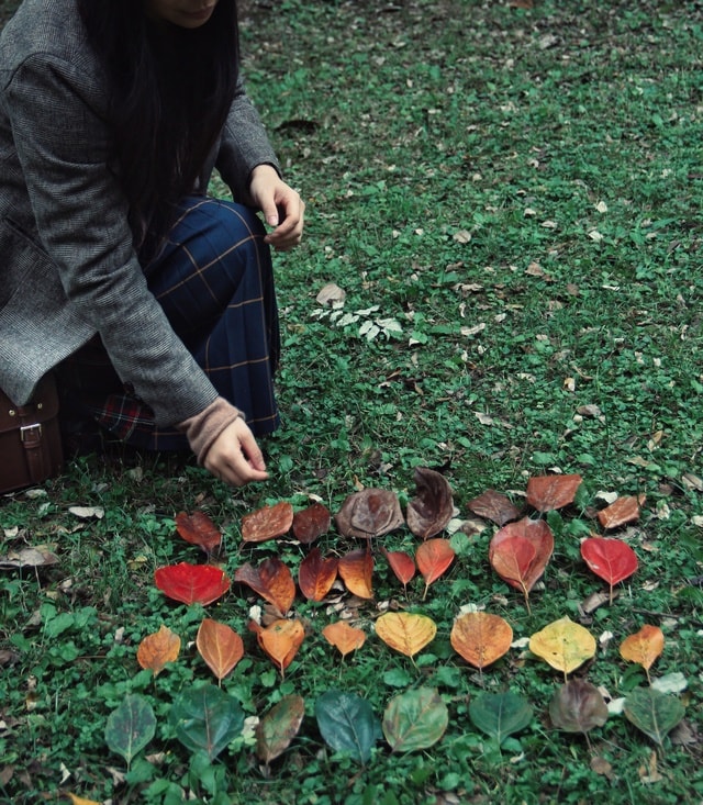 autumn-color 图片素材