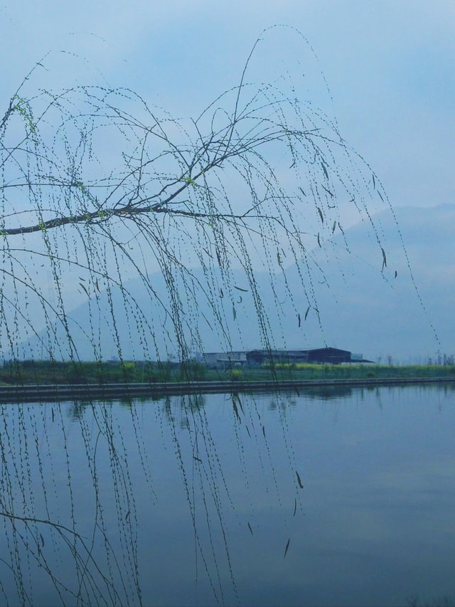water-sky-reflection-lake-tree picture material