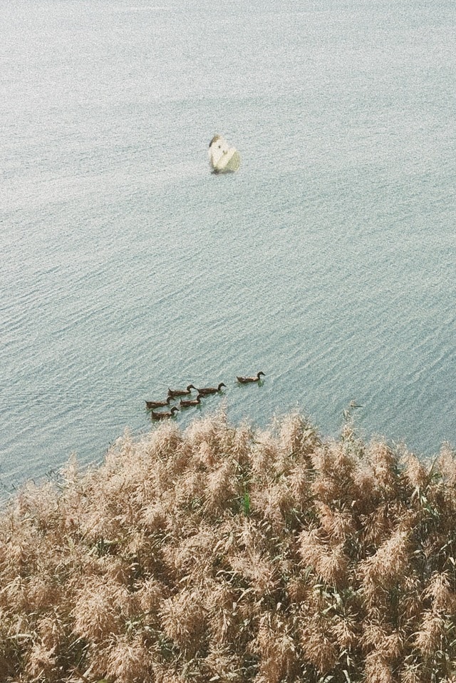 sea-sky-water-nature-no-person 图片素材