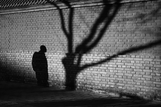 white-black-photograph-wall-black-and-white 图片素材