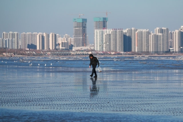 water-sea-skyline-daytime-city 图片素材