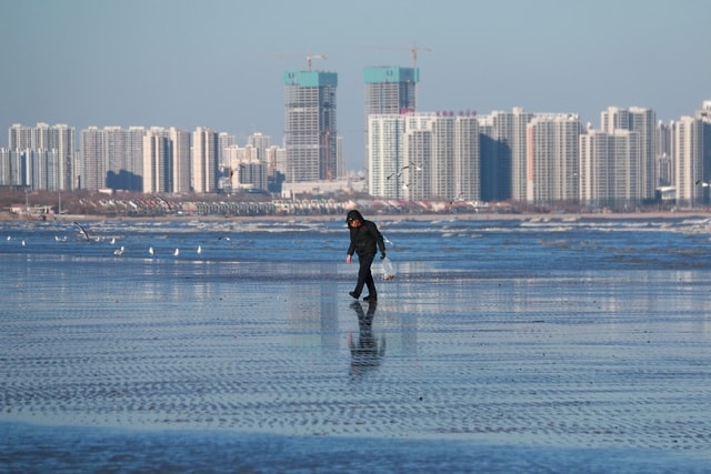 water-sea-skyline-daytime-city 图片素材