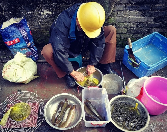 food-people-man-outdoors-grow 图片素材