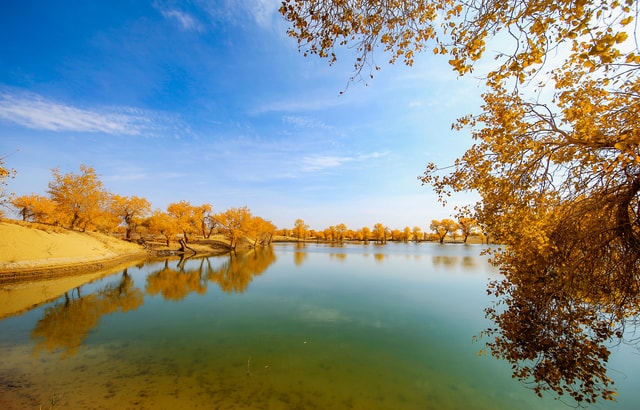 nature-reflection-water-sky-leaf picture material