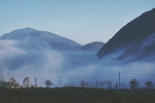 sky-mist-fog-mountain-tree 图片素材