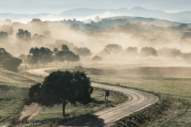 sky-road-fog-landscape-tree picture material