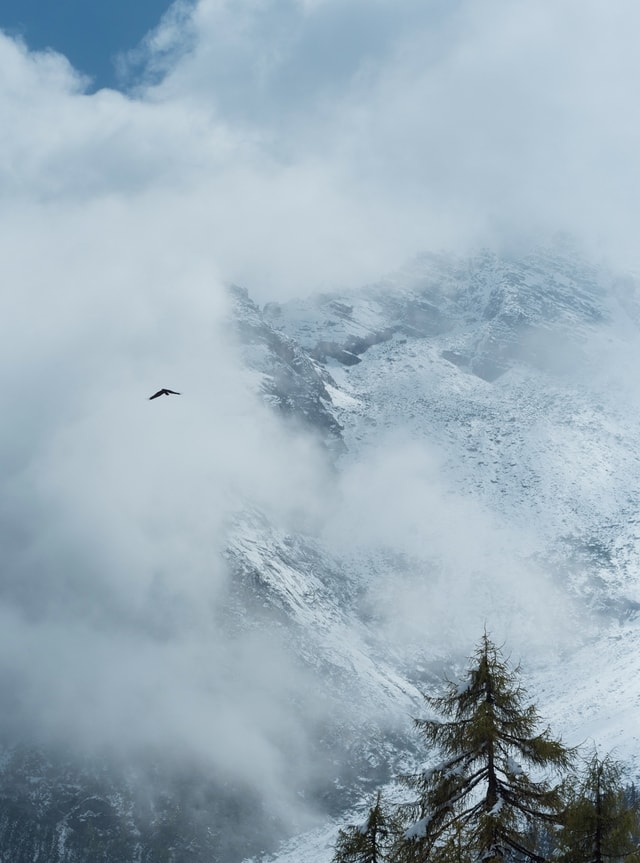 sky-mountain-tree-fog-mist 图片素材