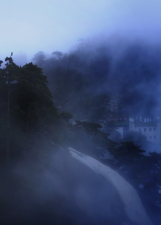 mist-fog-sky-water-tree picture material