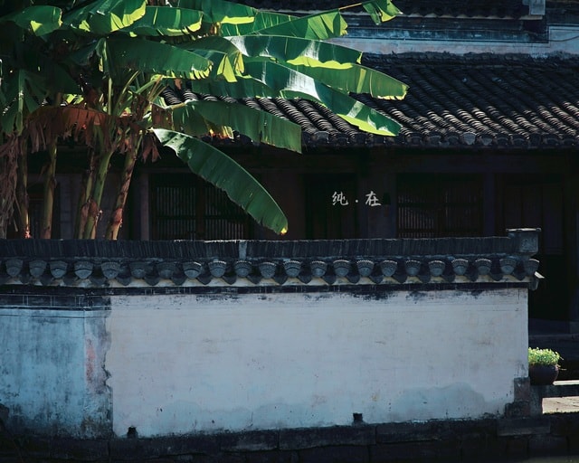 han-huisu-green-wall-architecture-roof picture material