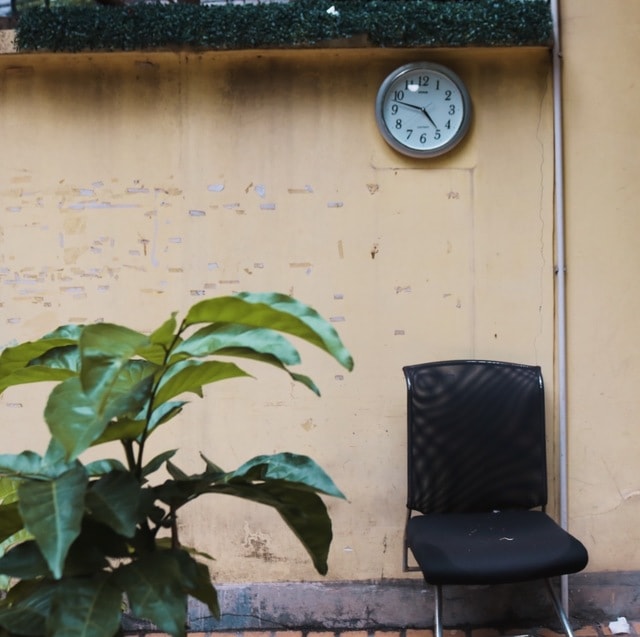 green-wall-leaf-house-window picture material