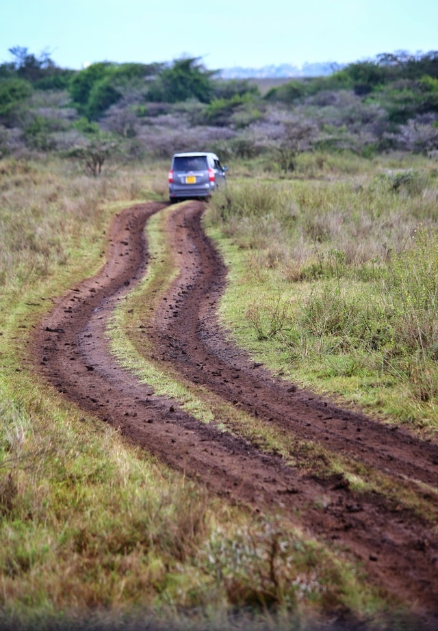 road-soil-grass-landscape-agriculture picture material