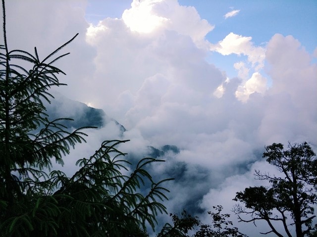 sky-cloud-tree-leaf-nature 图片素材