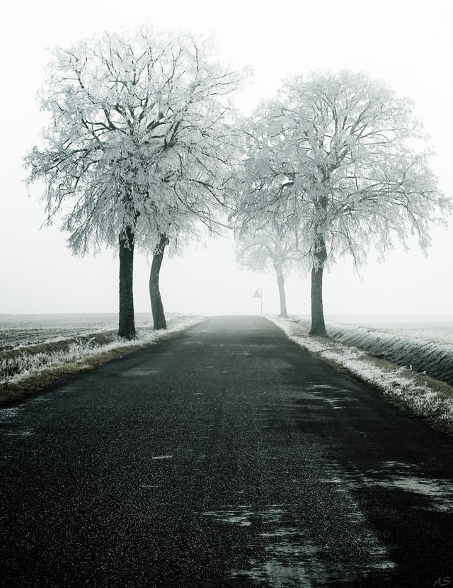 snow-winter-tree-cold-road 图片素材