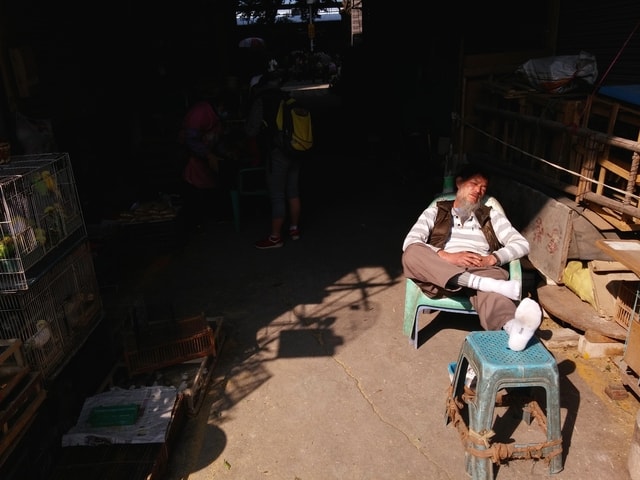 sneak-in 图片素材