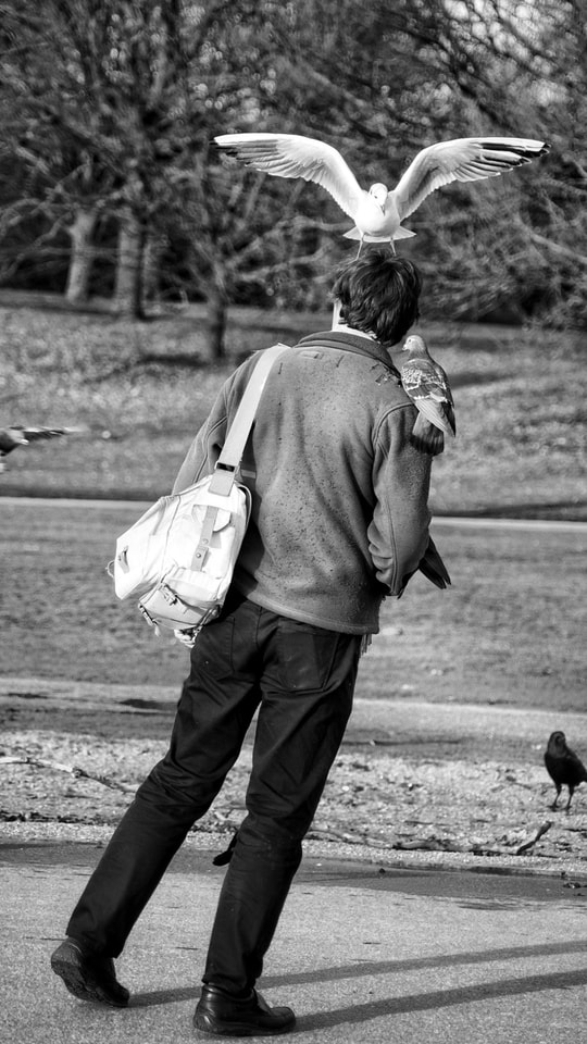 bridman-white-man-black-photograph 图片素材