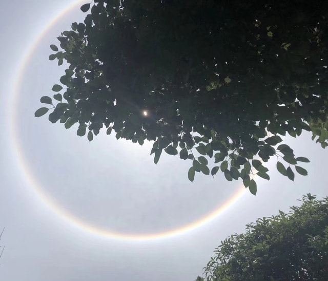 nature-sky-atmosphere-tree-sunlight 图片素材