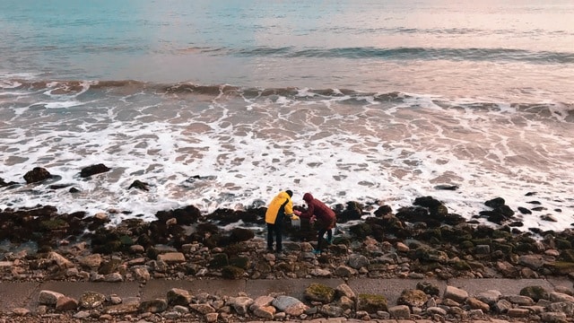 seaside-sea-shore-coast-beach 图片素材