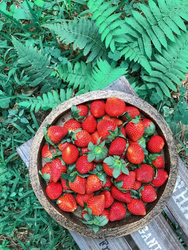 food-natural-foods-strawberry-strawberries-fruit picture material