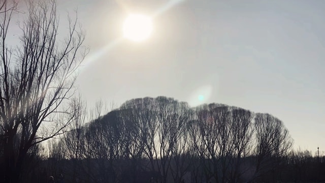 sky-winter-atmosphere-tree-sunlight 图片素材