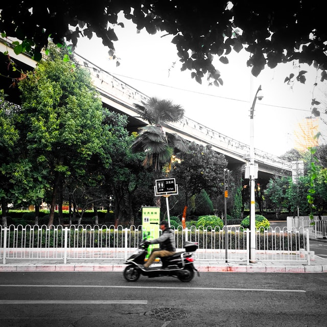 tree-transport-sky-vehicle-mode-of-transport 图片素材