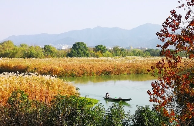 missing-the-autumn-sun 图片素材