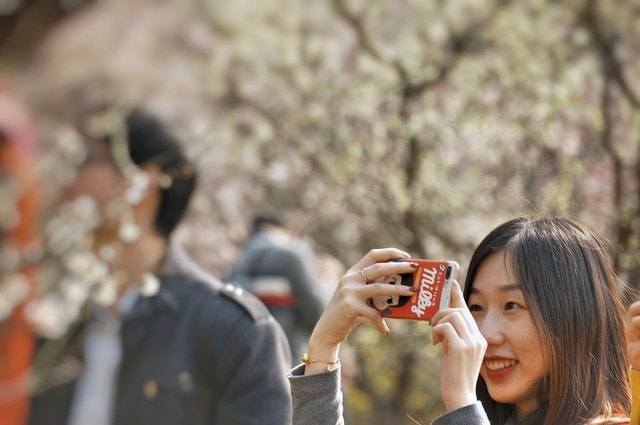 photograph-snapshot-spring-flower-photography 图片素材