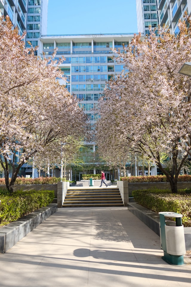 spring-garden picture material