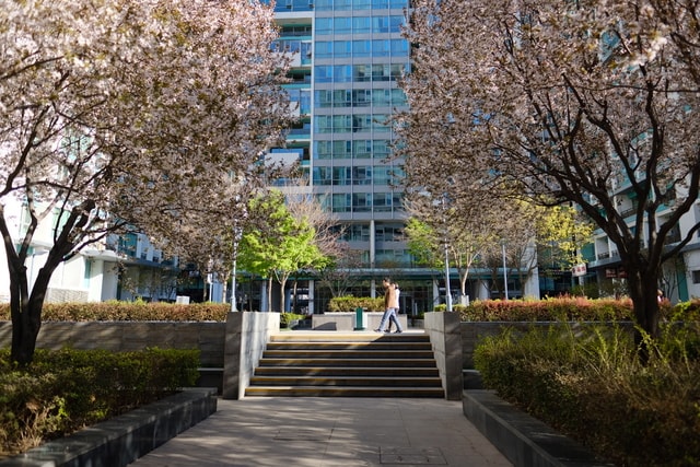 spring-garden picture material