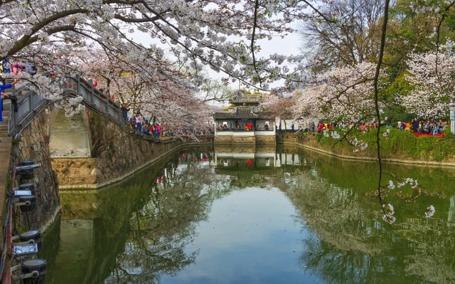 bright-spring 图片素材