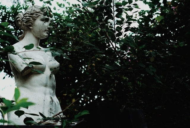 statue-green-sculpture-tree-botany 图片素材