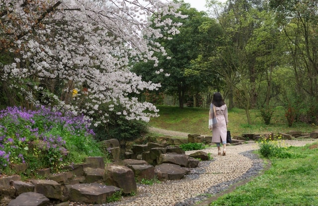 spring-rhyme picture material