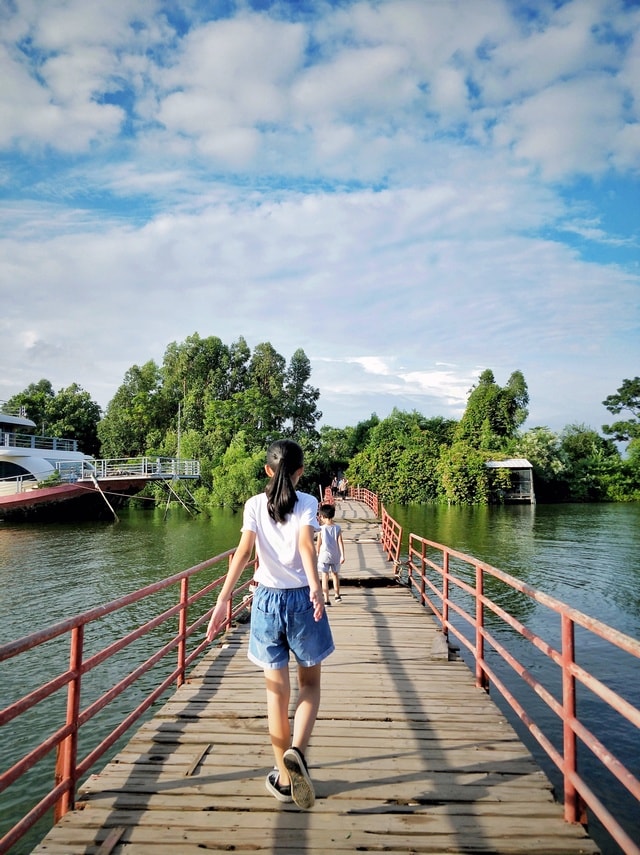 water-boardwalk-bridge-tourism-walkway picture material