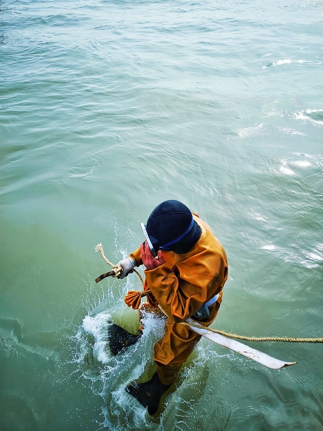 water-recreation-sea-fun-wave picture material