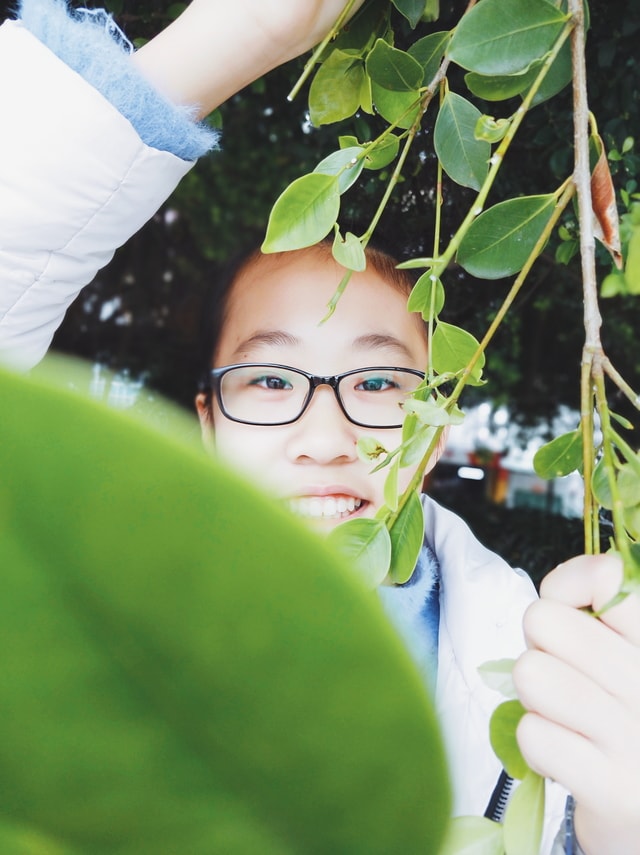 green-glasses-smile-eyewear-leaf 图片素材