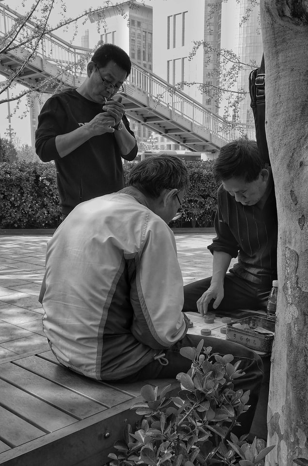 chess picture material