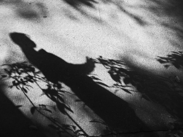 people-monochrome-art-one-black 图片素材