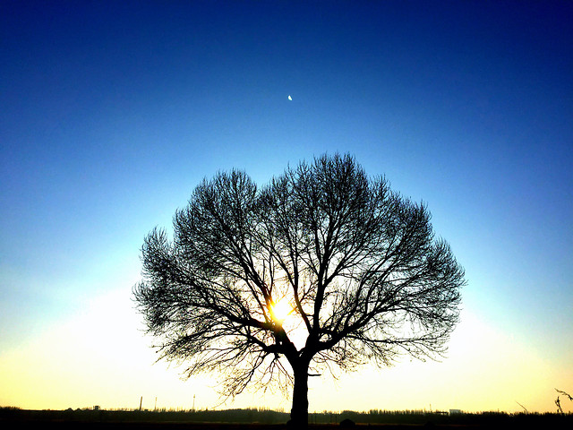 sun-dawn-nature-sunset-sky 图片素材