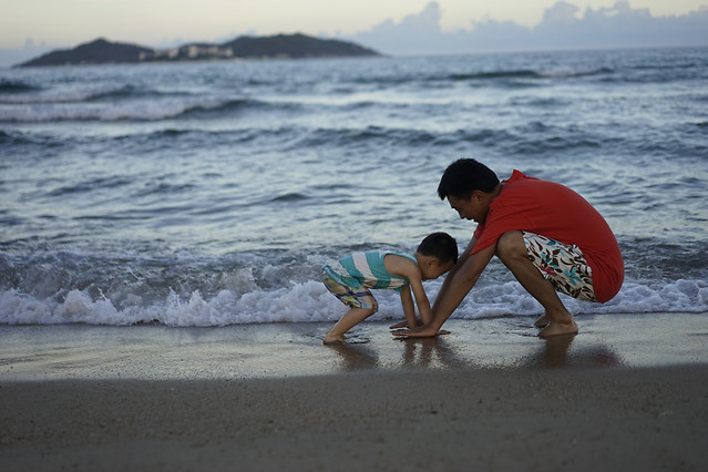 beach-sea-ocean-seashore-water picture material