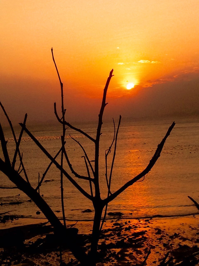 sunset-dawn-no-person-water-dusk 图片素材