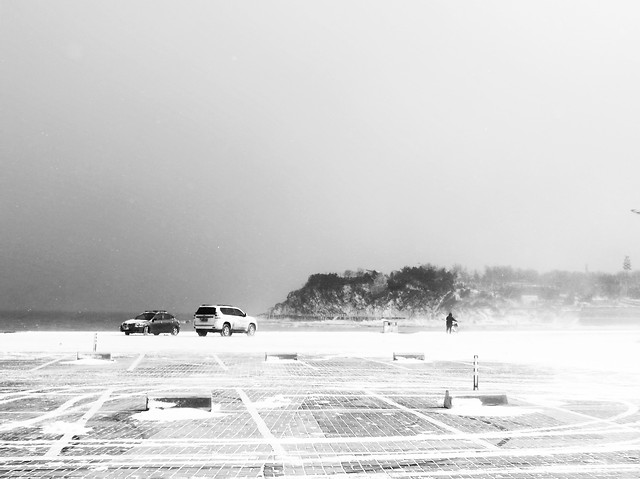 beach-sea-water-fog-ocean 图片素材