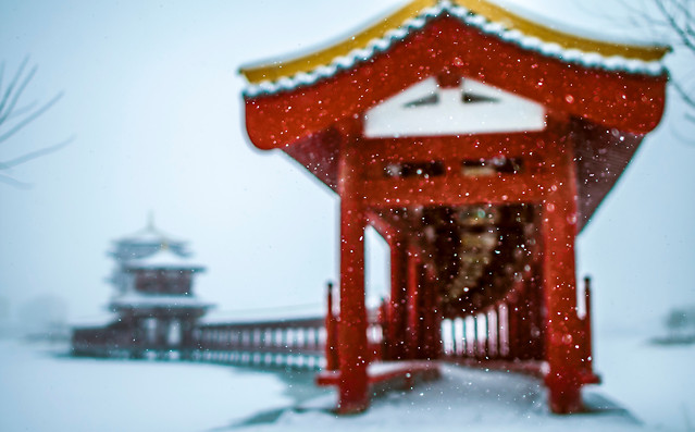 winter-snow-no-person-outdoors-cold 图片素材