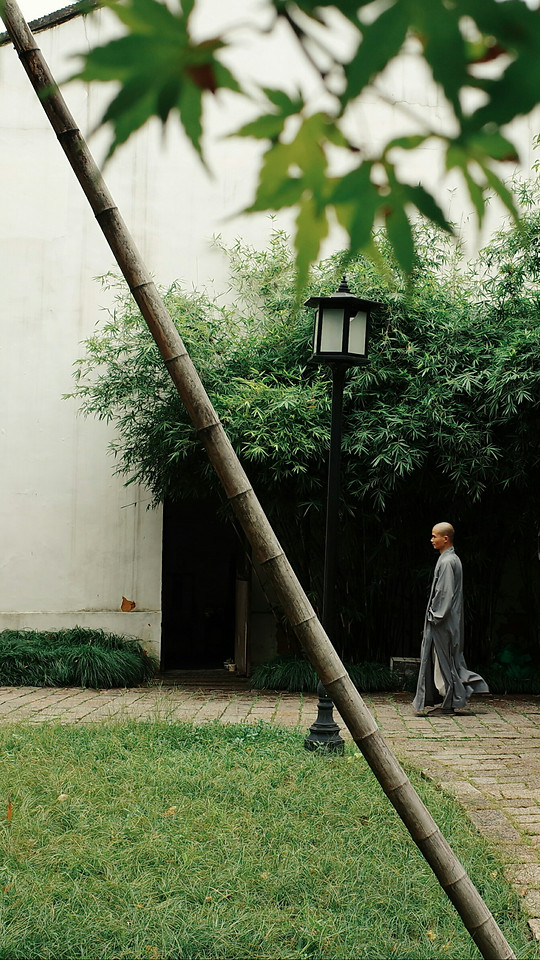 tree-leaf-grass-wood-house 图片素材