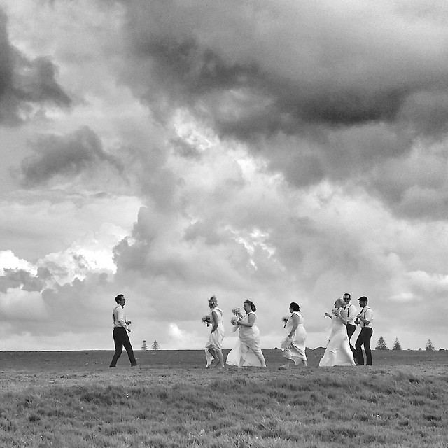 sky-summer-landscape-field-happiness picture material
